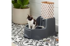 Cách hướng dẫn mèo đi vệ sinh đúng chỗ